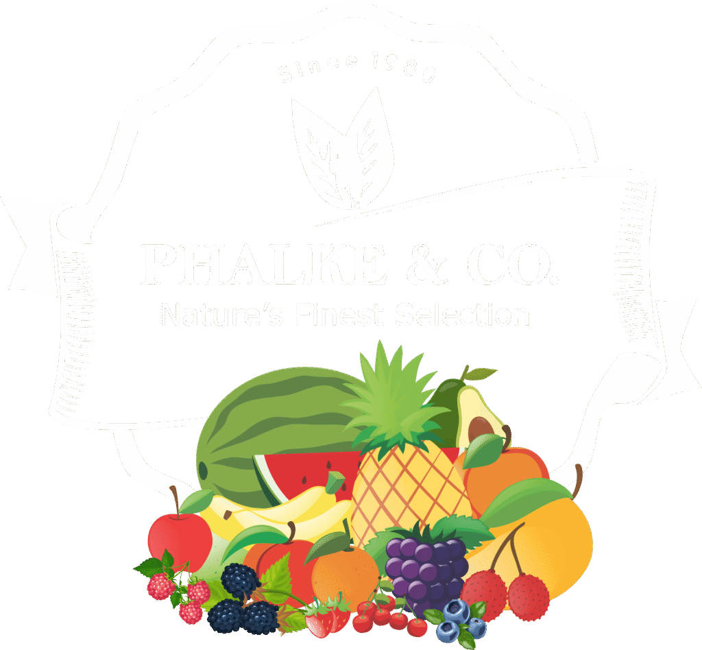 Phalke and Company Logo