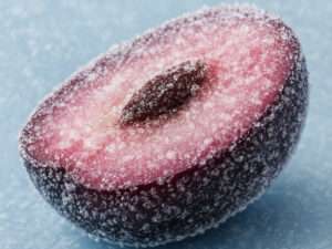Frozen Jamun Slice